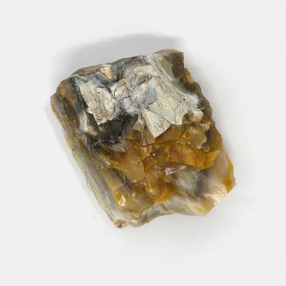 Agatized Petrified Wood - Picture 4 of 4